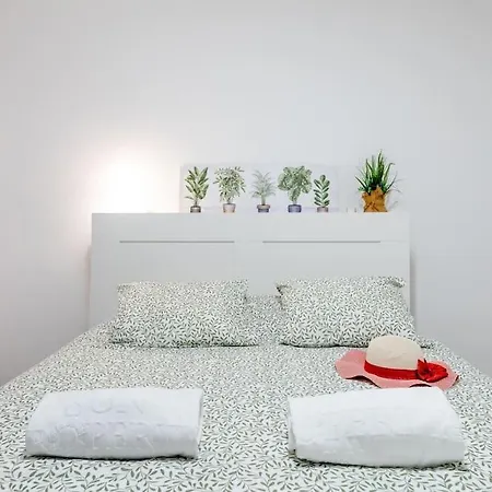 Carolina 8 Appartement