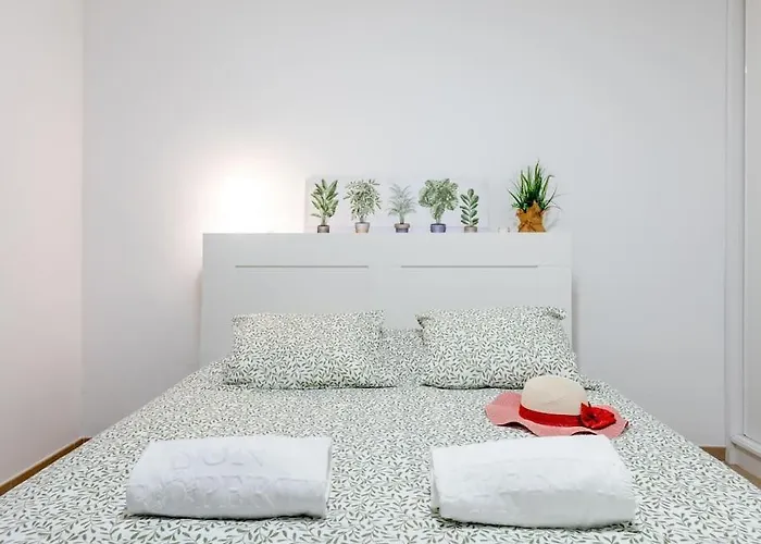 Carolina 8 Apartament